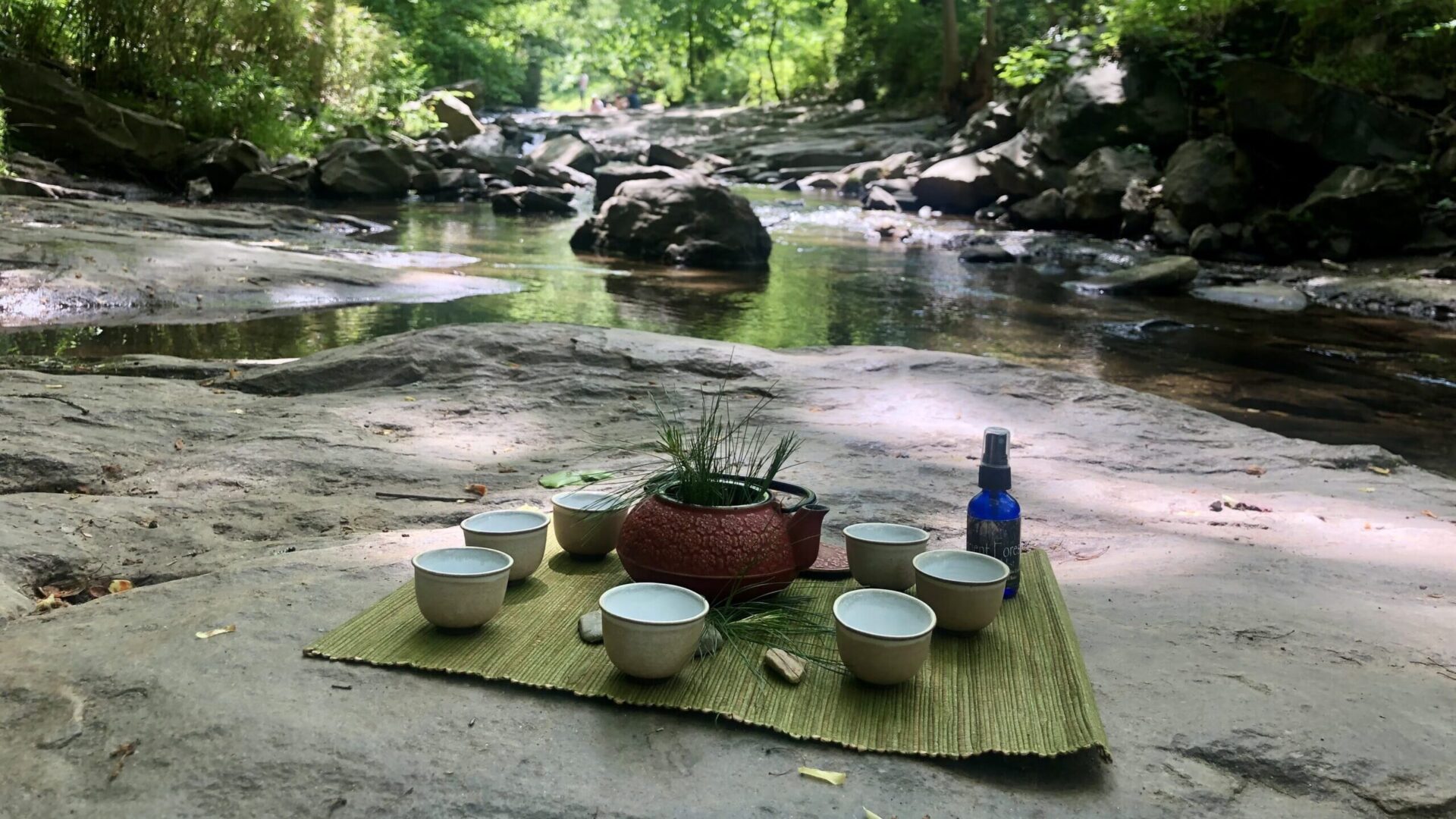 Yunmeng Mountain Forest Bathing Wellness Month